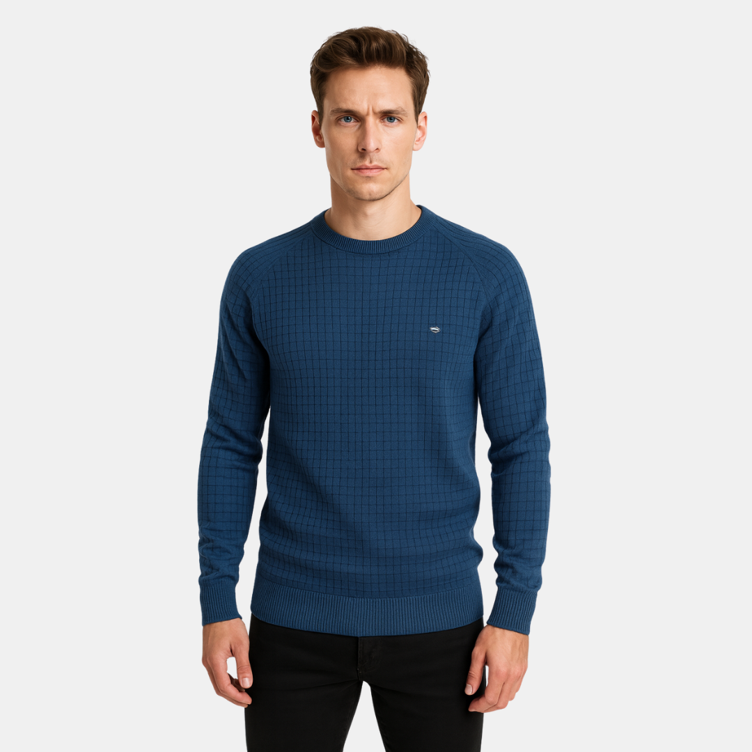 Heren Trui Met Fijn Ruitpatroon En Ronde Hals